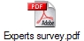 Experts survey.pdf